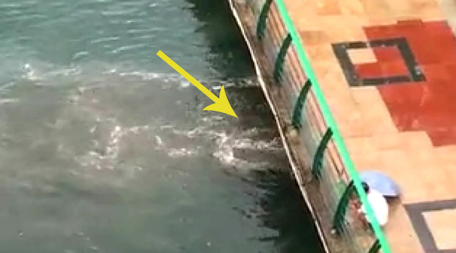 柳江河黑色水体后续：多部门排查，系截污管溢流雨污，水质监测达标