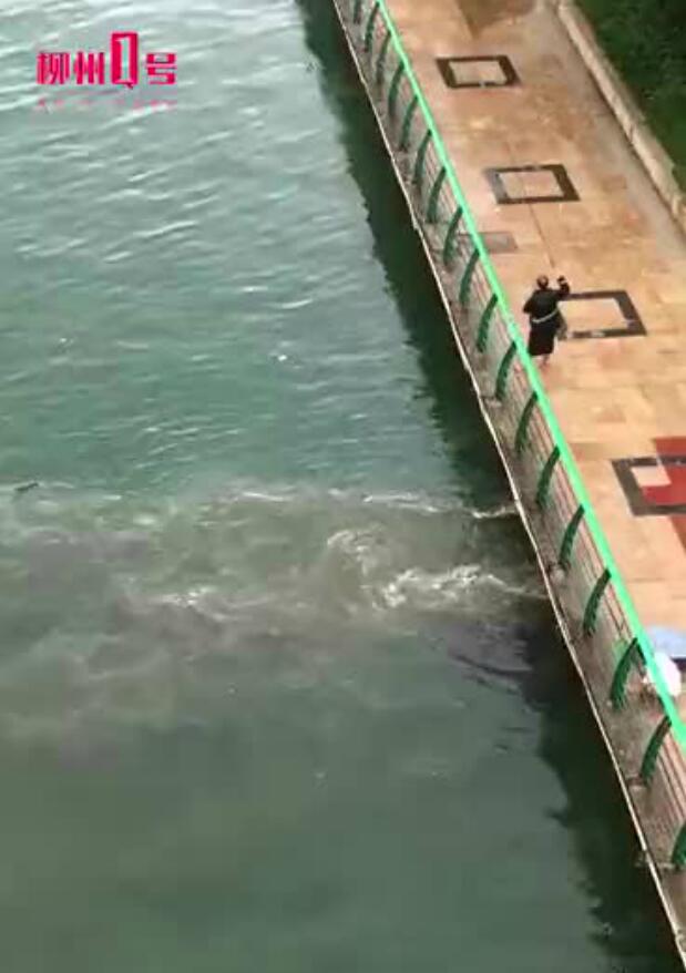 QQ截图20180803145527.jpg QQ截图20180803145527.jpg
