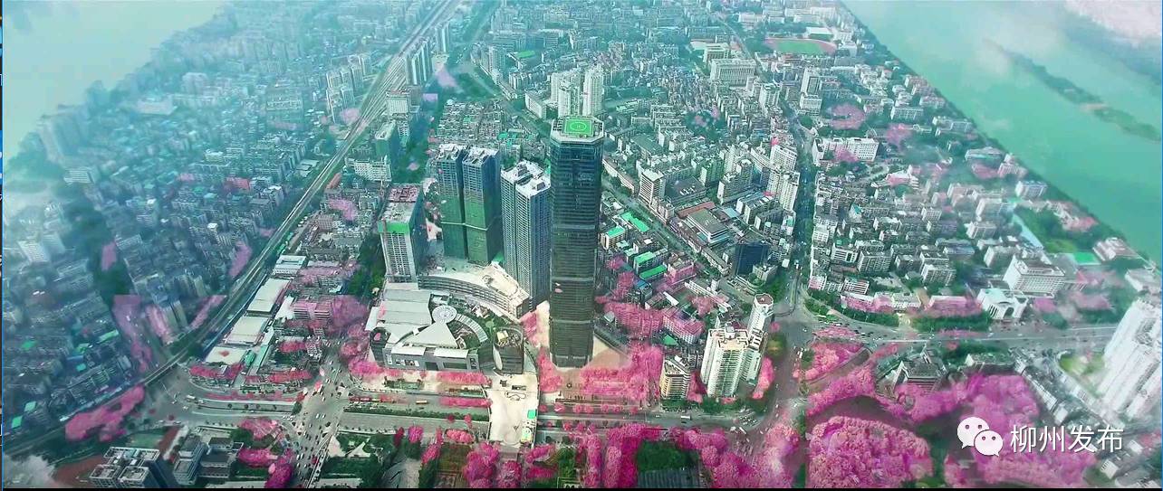 微信图片_20180803160659.jpg