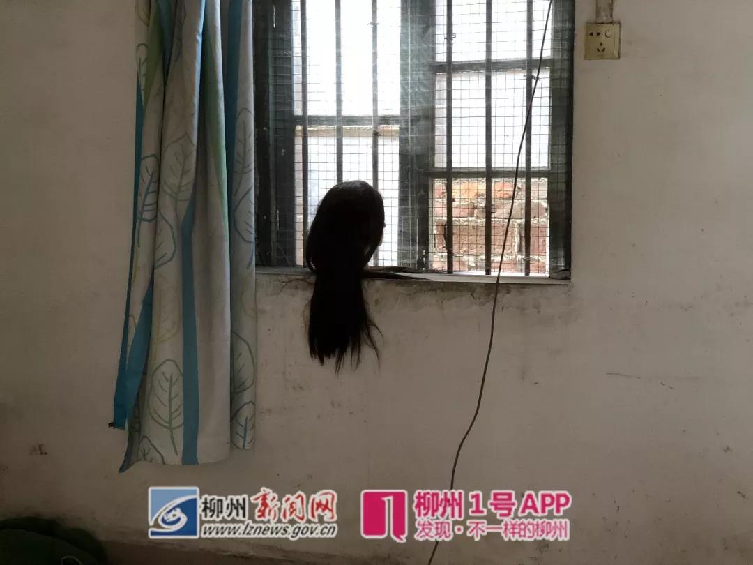 白天开灯，窗台有颗“人头”！昨天多名法警持盾戴盔冲进白沙村这栋楼！