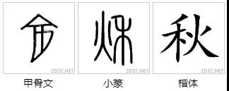 微信图片_20180807073138.jpg