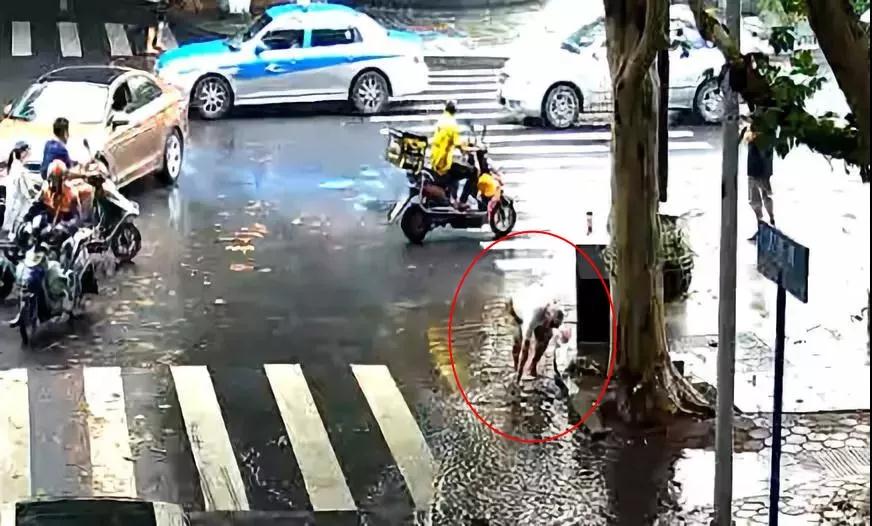 微信图片_20180809081335.jpg 微信图片_20180809081335.jpg