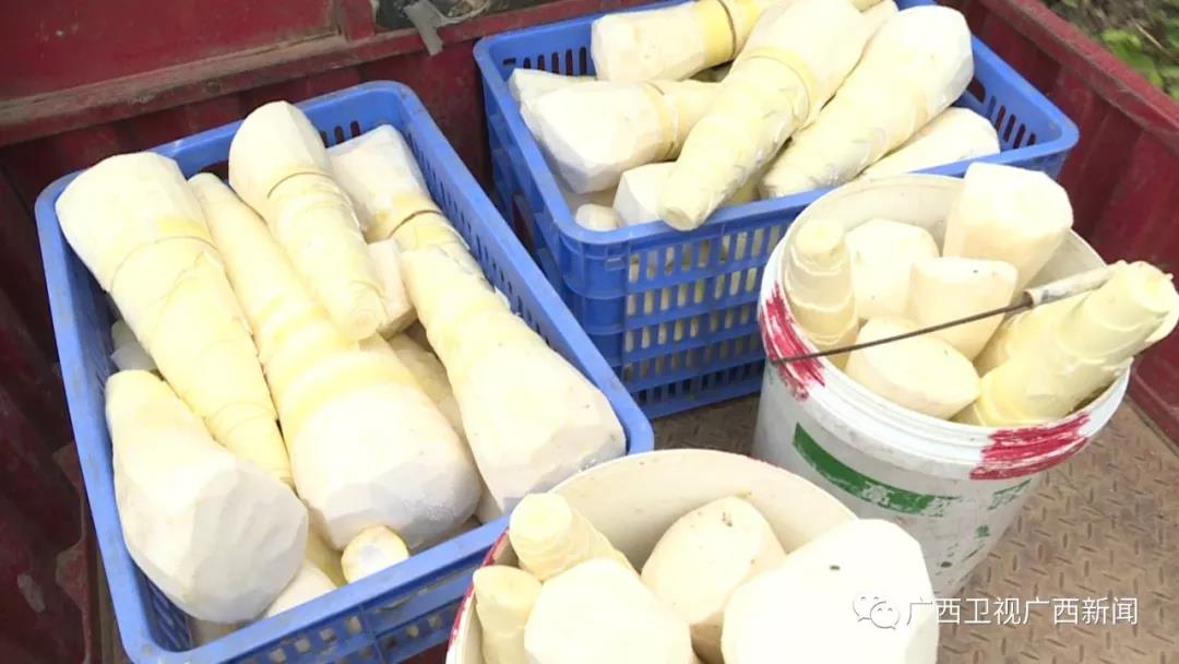 微信图片_20180814111404.jpg 微信图片_20180814111404.jpg