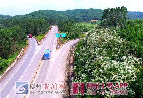 微信图片_20180814172928.jpg