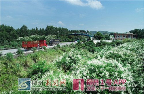 微信图片_20180814172937.jpg