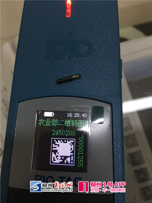 通过长柄识别器即可追溯病源奶牛.jpg 通过长柄识别器即可追溯病源奶牛.jpg