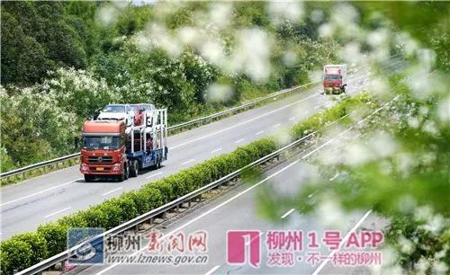微信图片_20180815075710.jpg 微信图片_20180815075710.jpg