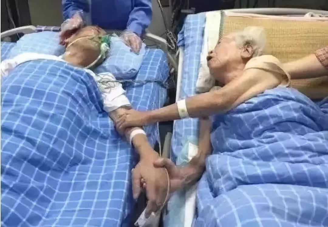 微信图片_20180817074829.jpg