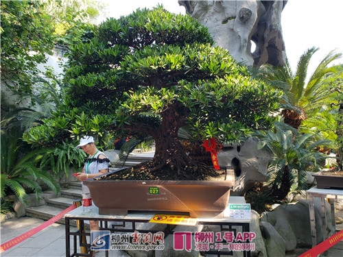 微信图片_20180818113329.jpg