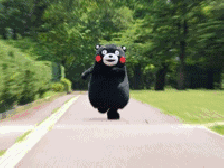 微信图片_20180819151209.gif 微信图片_20180819151209.gif