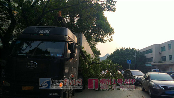 微信图片_20180824075901.jpg