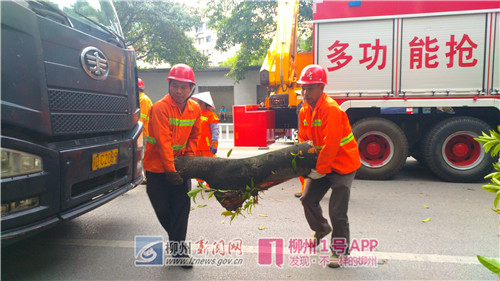 微信图片_20180824082319.jpg 微信图片_20180824082319.jpg