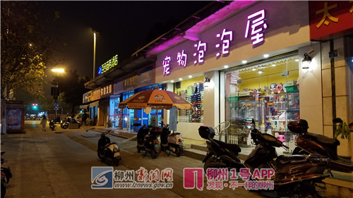 1号追踪|后续！荣军路宠物店偷狗贼获刑1年5个月，如今已是“6进宫”！