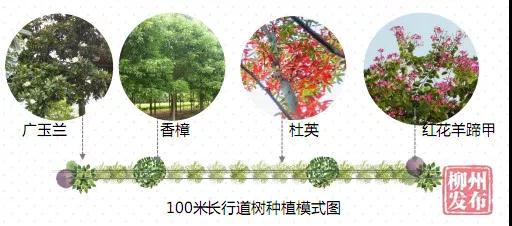 微信图片_20180824145555.jpg 微信图片_20180824145555.jpg