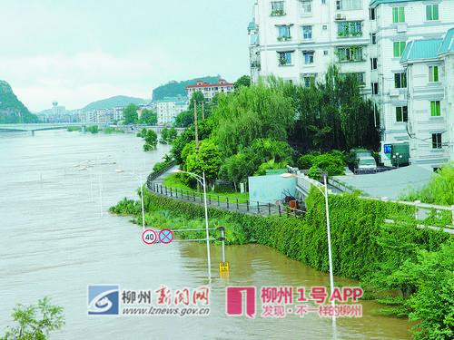 图为2009年洪水来袭时，市区大部分内没有被洪水侵入.jpg