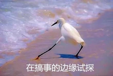 微信图片_20180826160643.jpg 微信图片_20180826160643.jpg