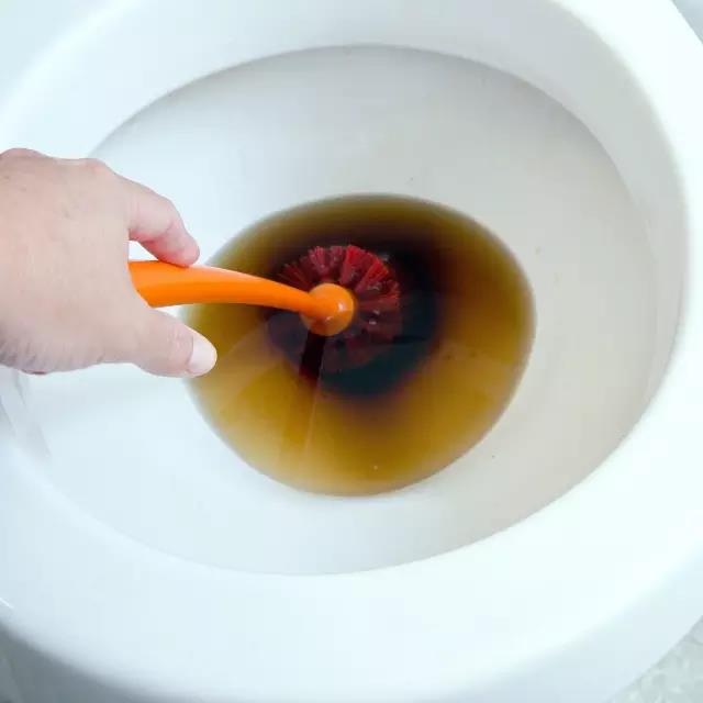 33.jpg 33.jpg