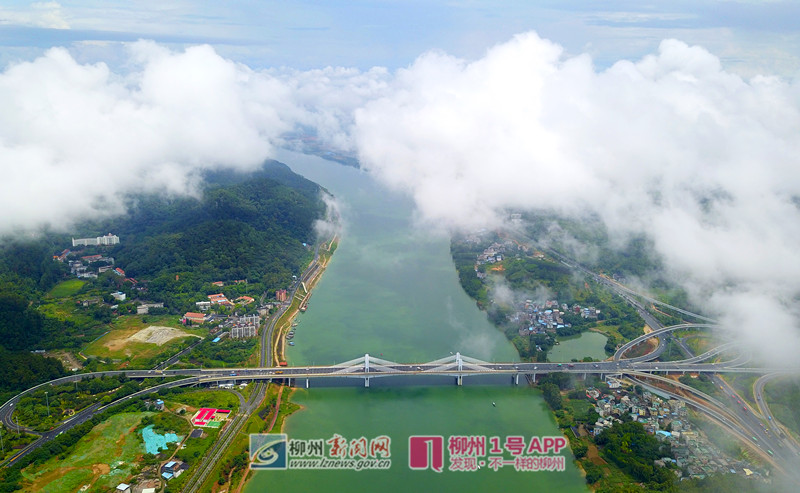 太美了！柳江市区河段两岸云雾升腾，如梦似幻，美不胜收
