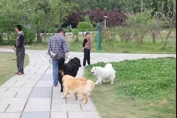 微信图片_20180831160953.jpg 微信图片_20180831160953.jpg
