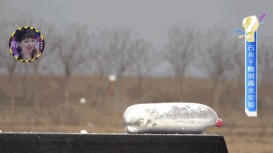7.gif 7.gif