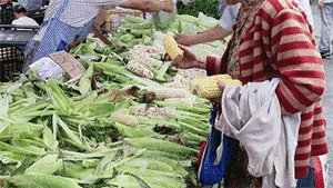 微信图片_20180905141806.gif 微信图片_20180905141806.gif