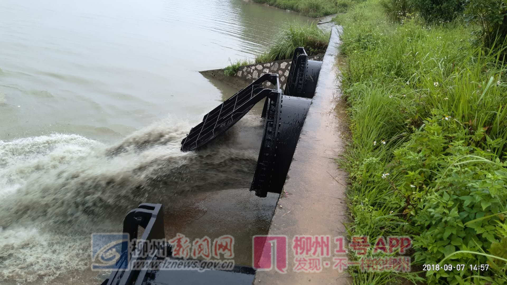 微信图片_20180907183405.jpg