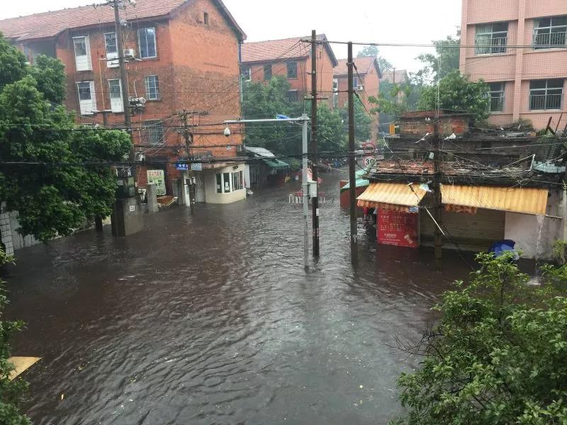 暴雨刷屏柳州人朋友圈，鹧鸪江积水快淹到车顶，拉堡这里已能开船