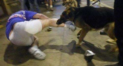 流浪狗咬人致其狂犬病身亡，“收留”该狗的鱼峰区一村民被判赔6.5万
