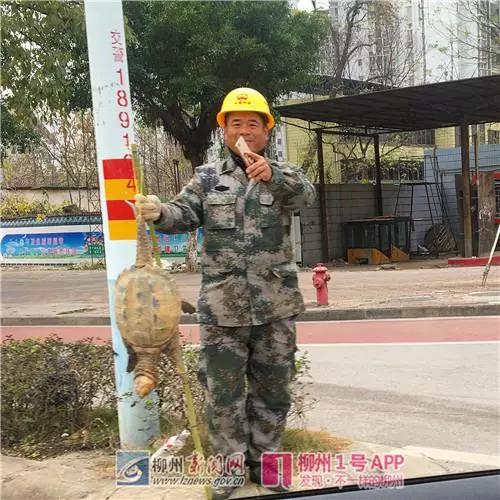 微信图片_20180914195241.jpg