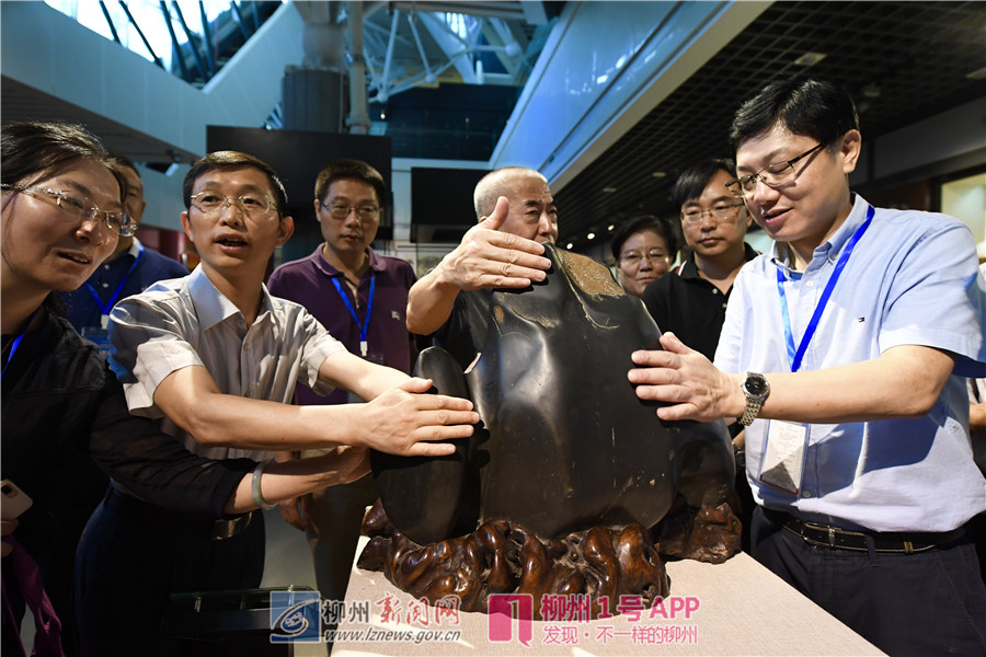 百家社长总编看柳州：工业“硬”象深刻，旅游奇石文化“软”实力迷人