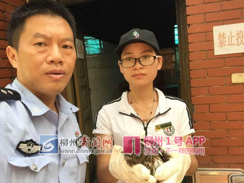 微信图片_20180920164030.jpg 微信图片_20180920164030.jpg