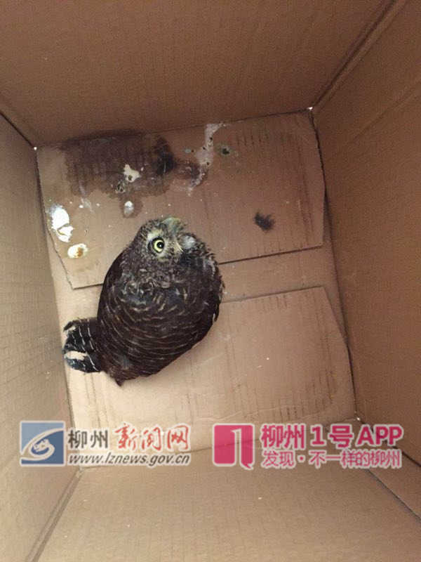 微信图片_20180920164034.jpg 微信图片_20180920164034.jpg