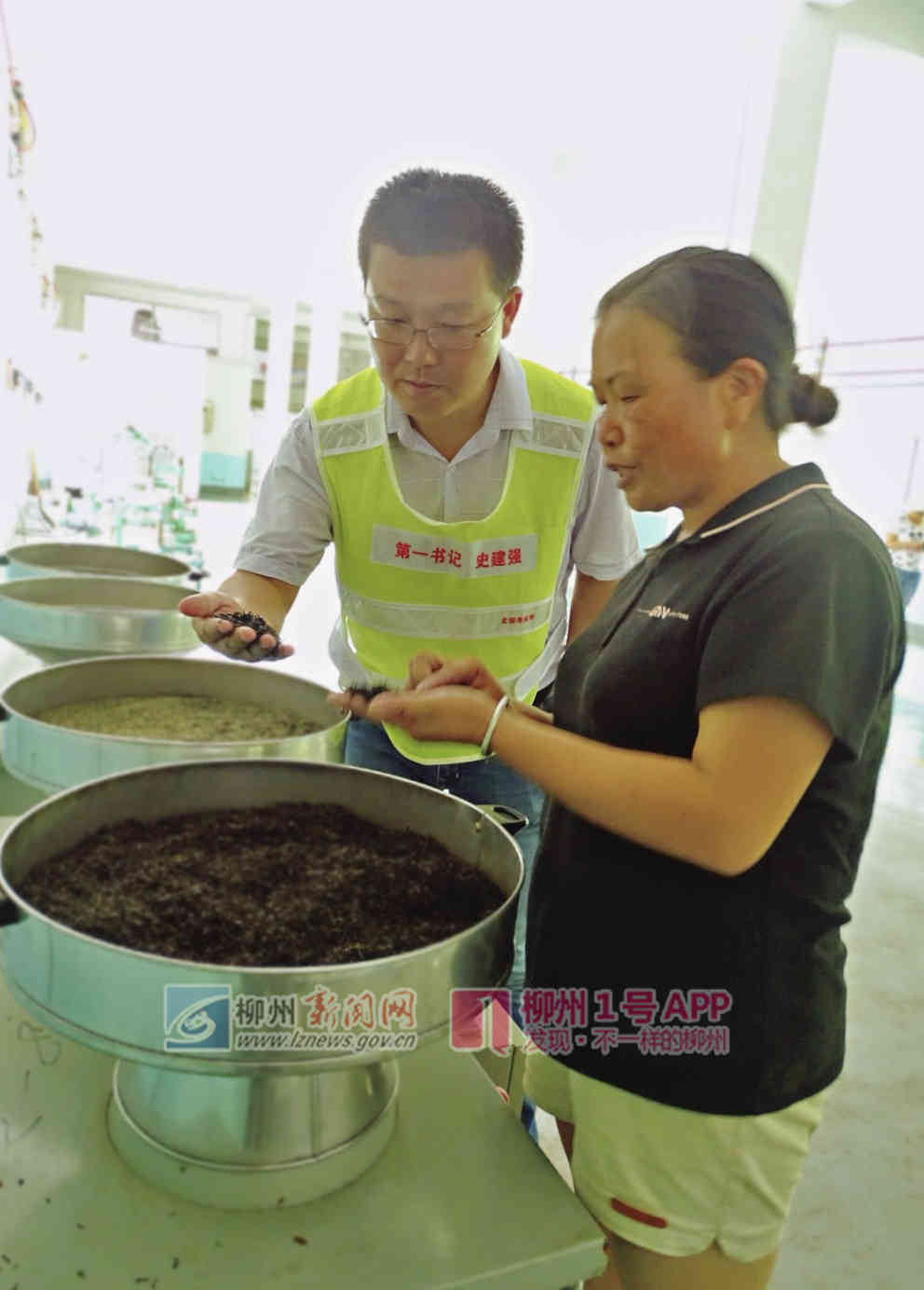 史建强到茶厂里了解近期的产业情况.jpg 史建强到茶厂里了解近期的产业情况.jpg