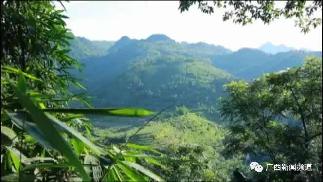 广西14岁少年携毒入境，牵出一个深藏于大山的跨国贩毒集团
