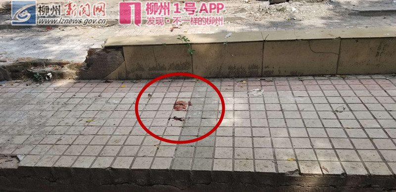 微信图片_20180925135645_副本_副本.jpg 微信图片_20180925135645_副本_副本.jpg