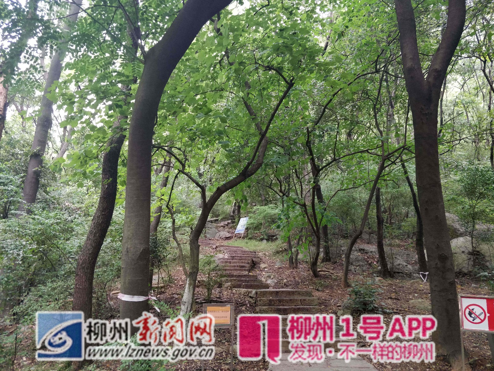 微信图片_20180926172640.jpg 微信图片_20180926172640.jpg