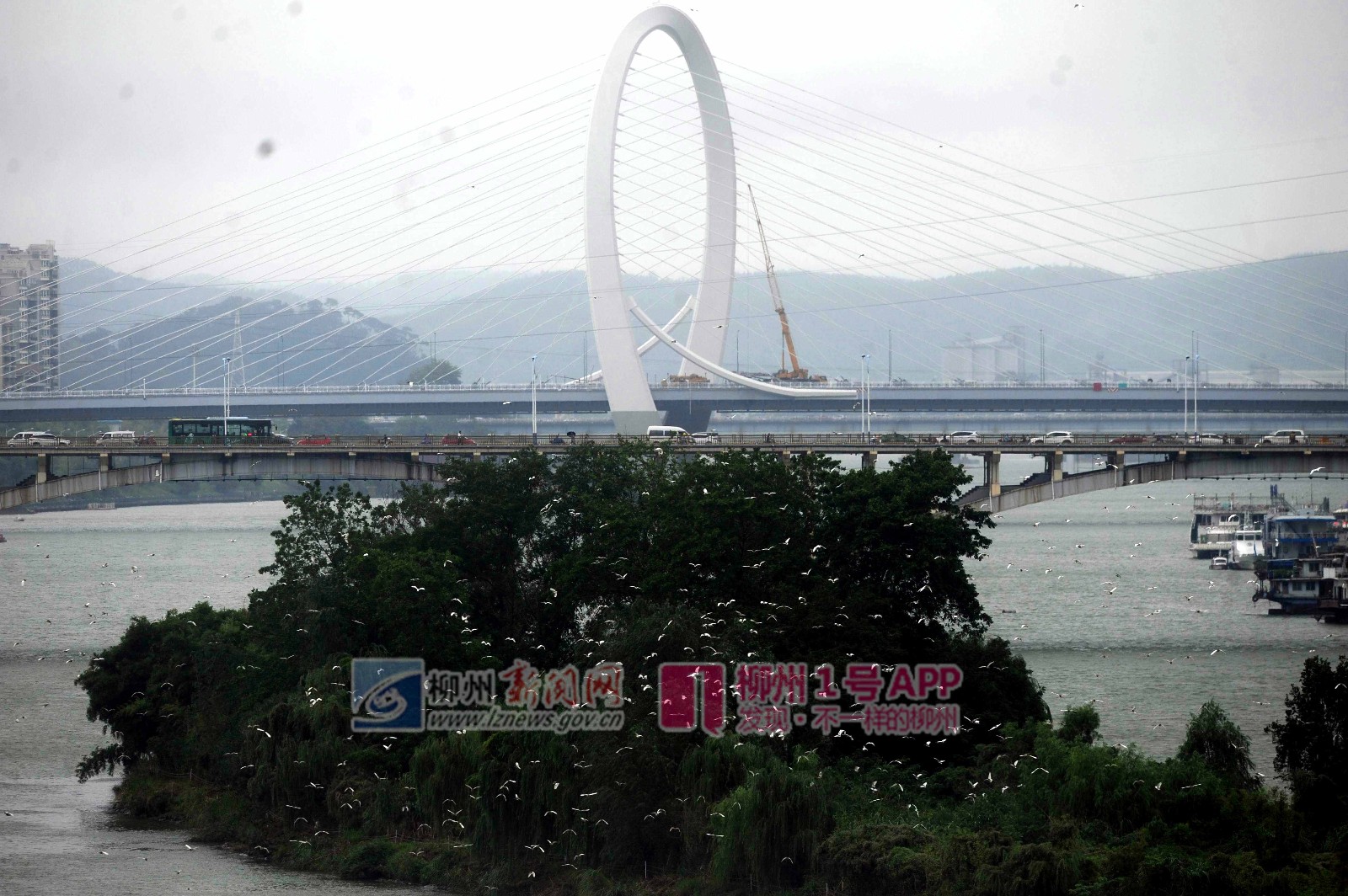 微信图片_20180927133057.jpg