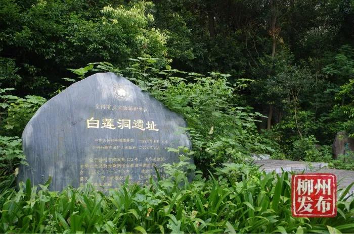 1号巡礼 | 白莲洞发掘出全国之最，“博物馆之都”绽放异彩