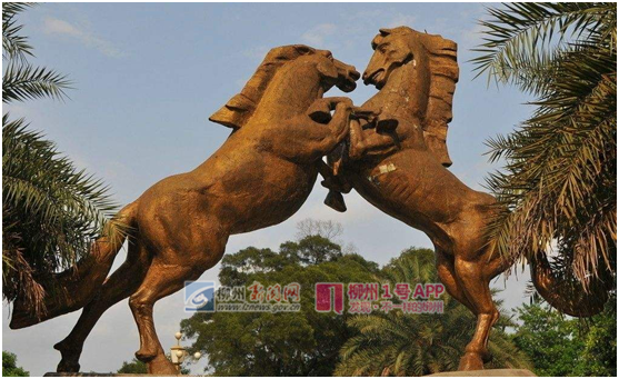 柳州老地标“双马”雕像又要搬家了，以后市民可以在这见到它！
