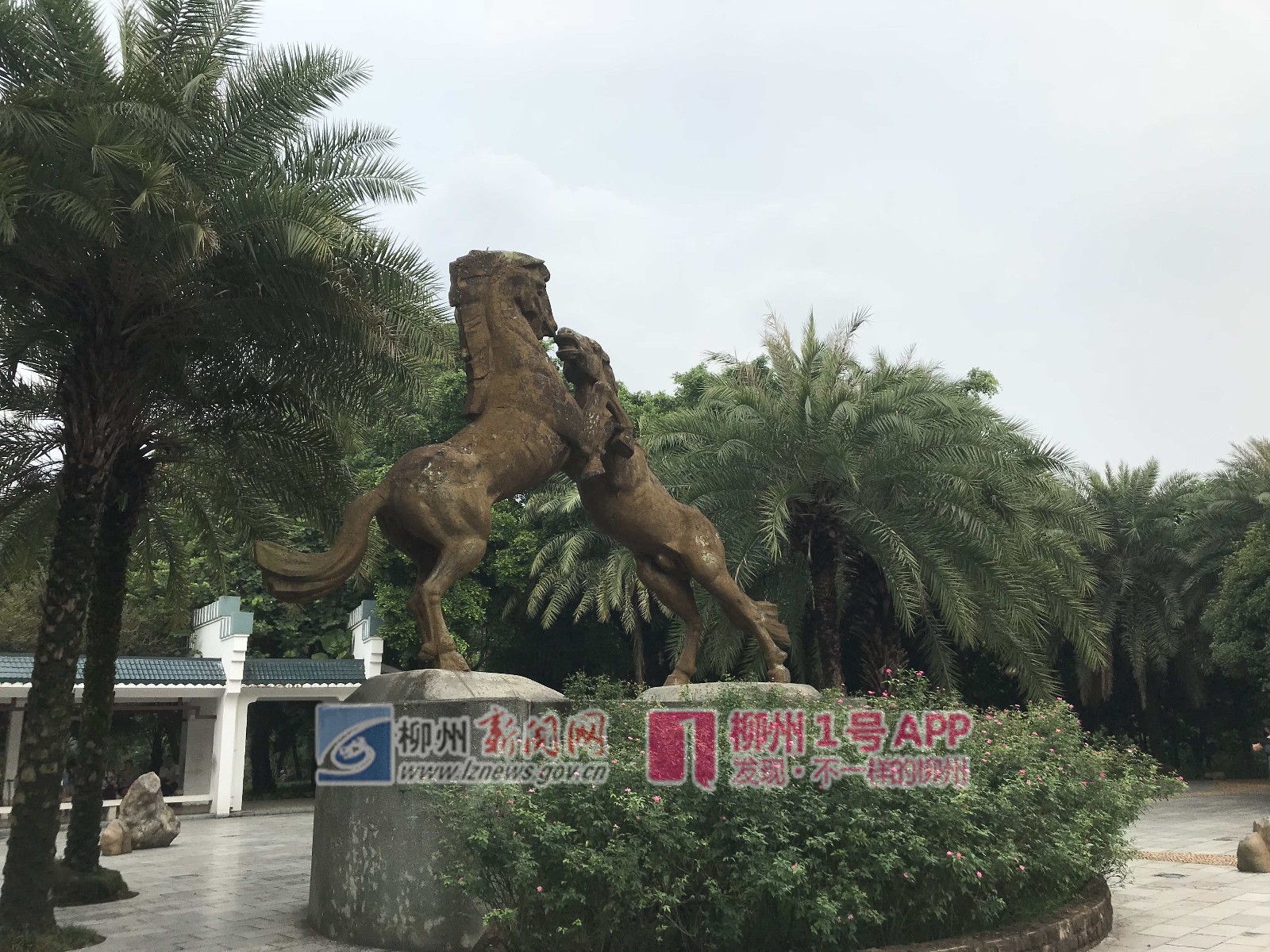 微信图片_20180929153549.jpg
