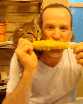 bfa16965jw1eqw8tx6crtg207p09nu0x.gif