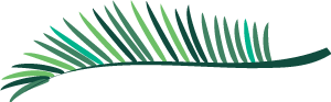a9eae283c53178fc765a68e7be4e9754_8517be9a8fd71e50a54bca7b5c1cb370-sz_7431.png