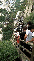 微信图片_20181007123736.gif 微信图片_20181007123736.gif