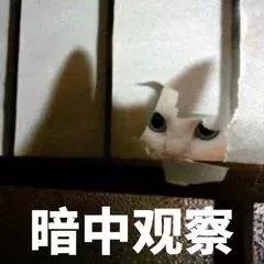 微信图片_20181007141636.jpg 微信图片_20181007141636.jpg