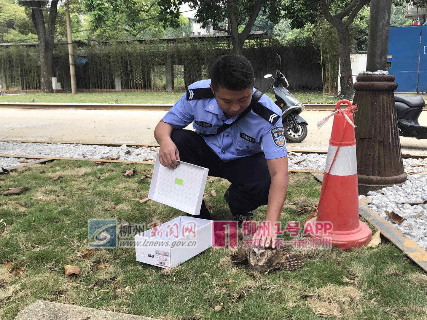 微信图片_20181009130018.jpg