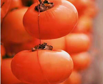 桂林恭城柿子节99元3天游？别上当了！