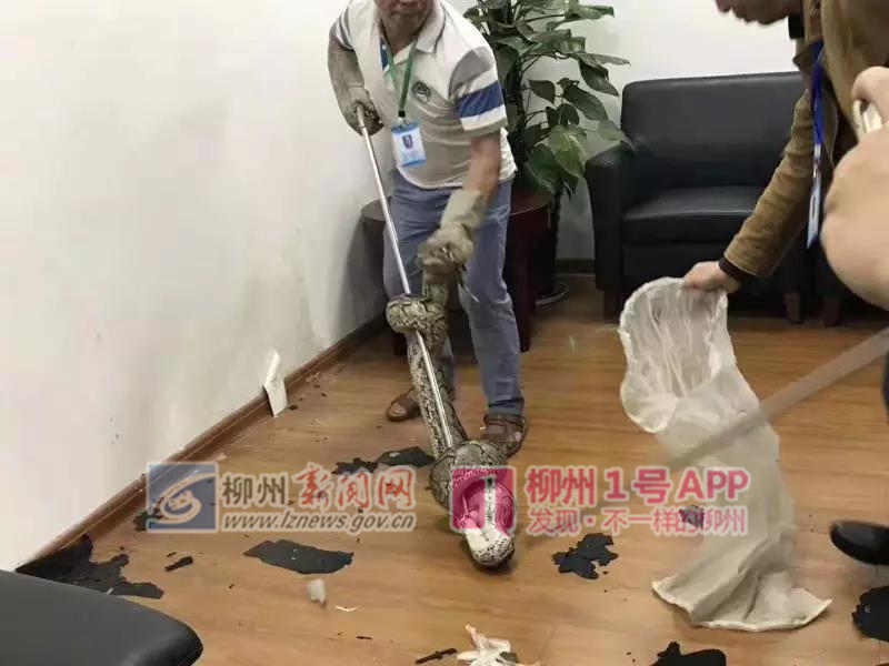 微信图片_20181012182955.jpg