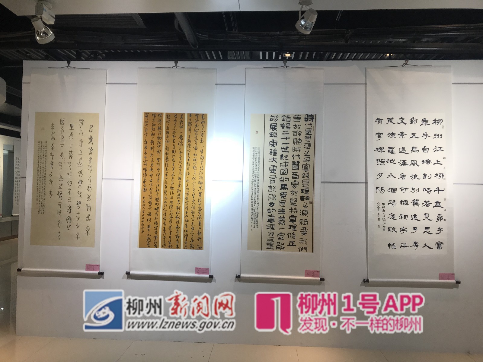 我们的节日·重阳|柳州这些老人，把摄影、舞蹈、书法“玩”出一堆奖项~