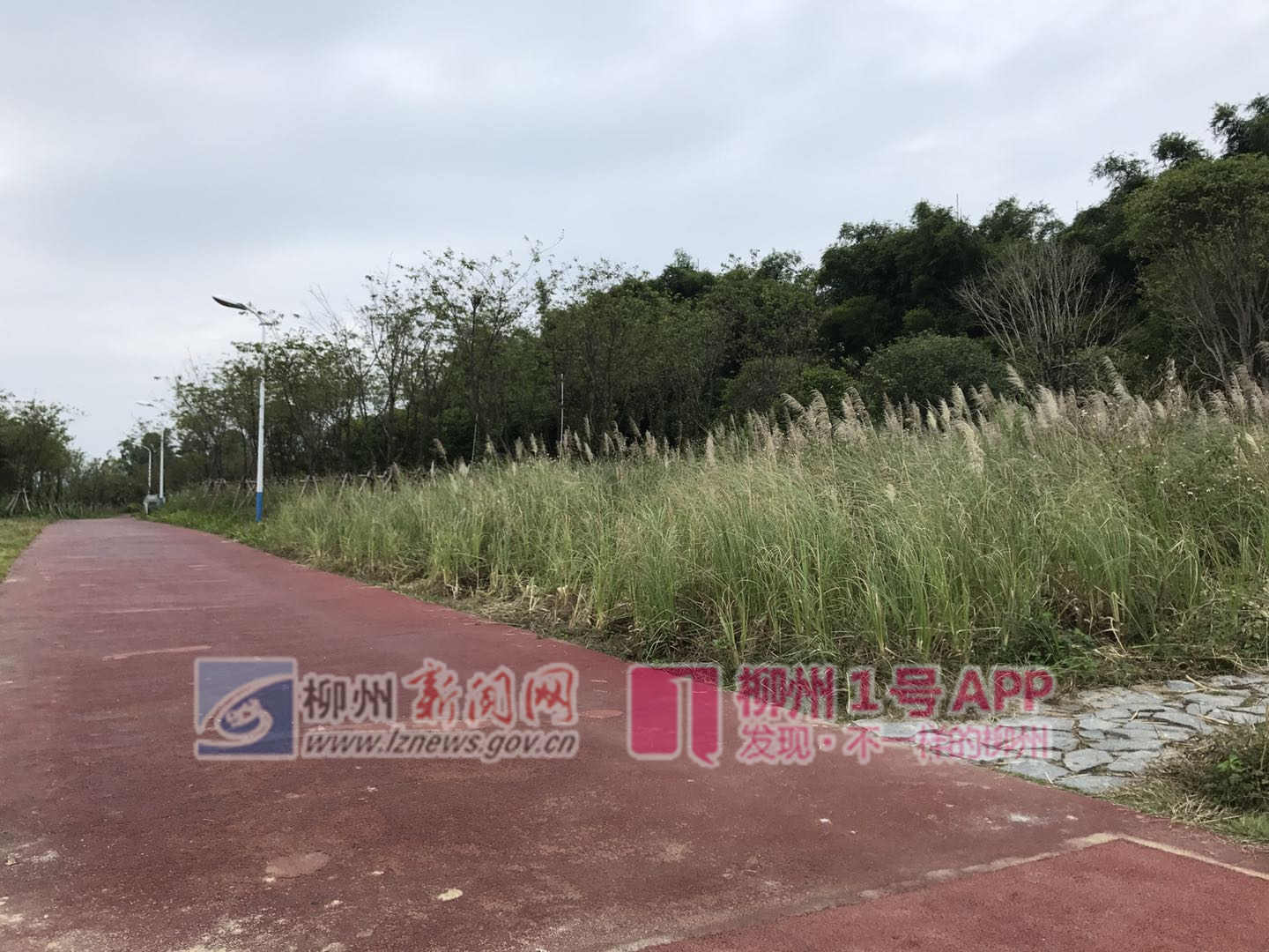 微信图片_20181018180325.jpg 微信图片_20181018180325.jpg