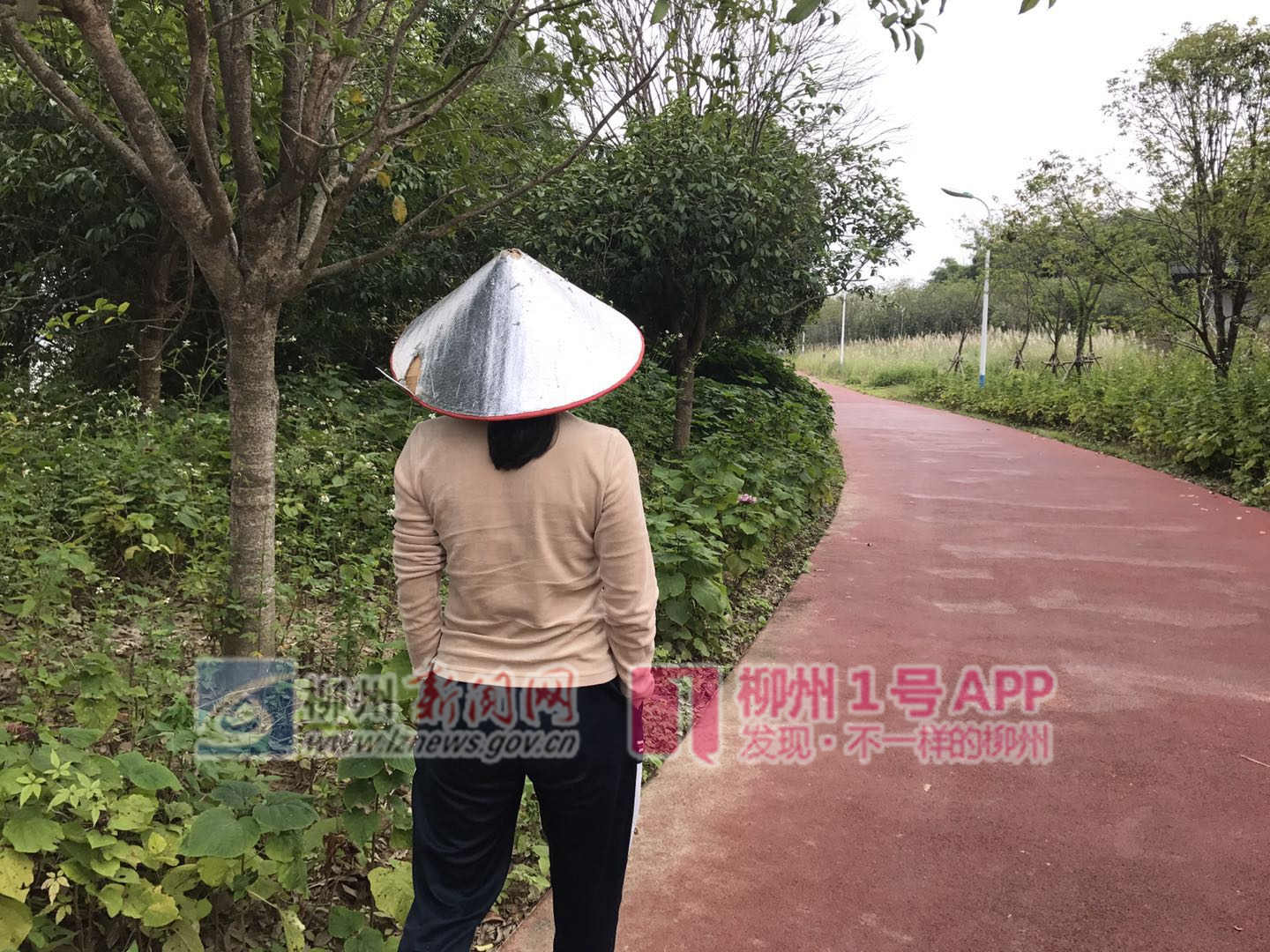 微信图片_20181018180311.jpg 微信图片_20181018180311.jpg